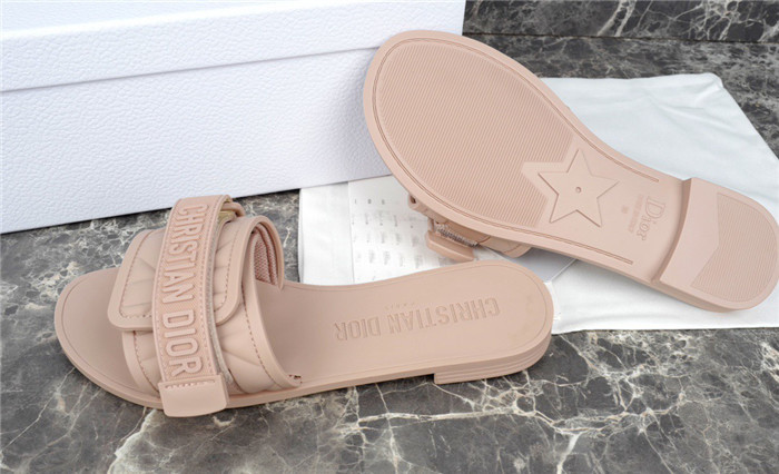 D1R* SLIDE copshoe  DR-198