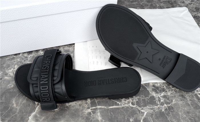 D1R* SLIDE copshoe  DR-199