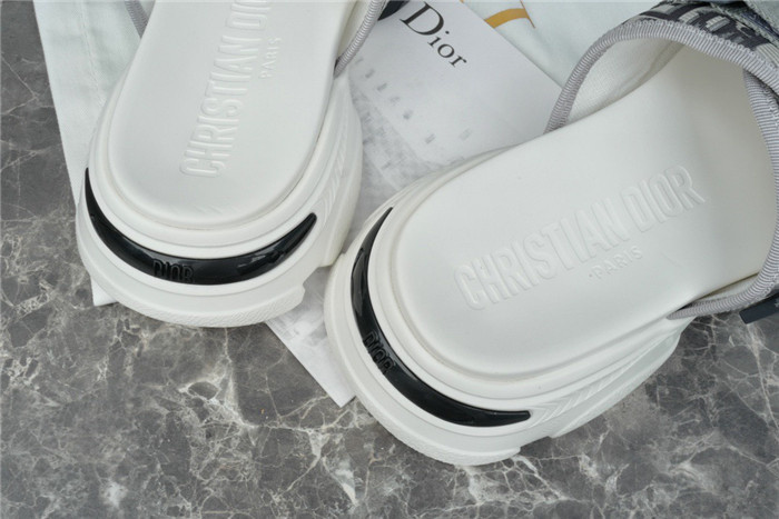 D1R* SLIDE copshoe  DR-200