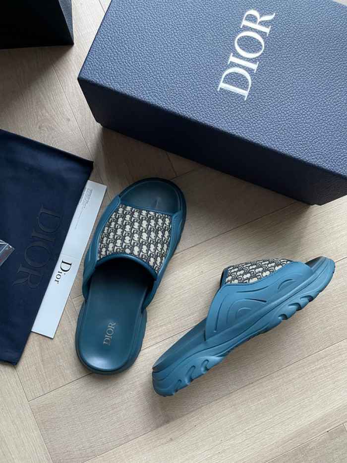 D1R* SLIDE copshoe  DR-SLIDE 007