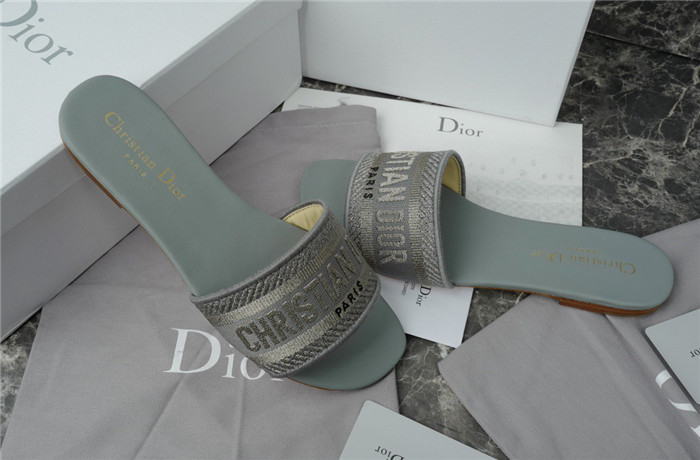 D1R* SLIDE copshoe  DR-218