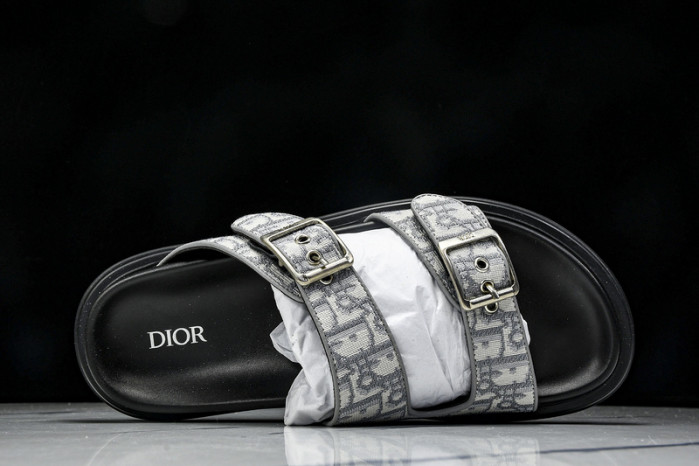 D1R* SLIDE copshoe  DR-SLIDE 014