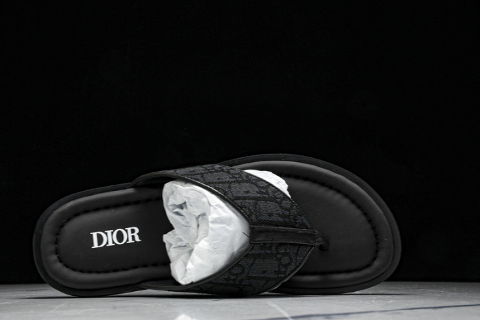 D1R* SLIDE copshoe  DR-SLIDE 017