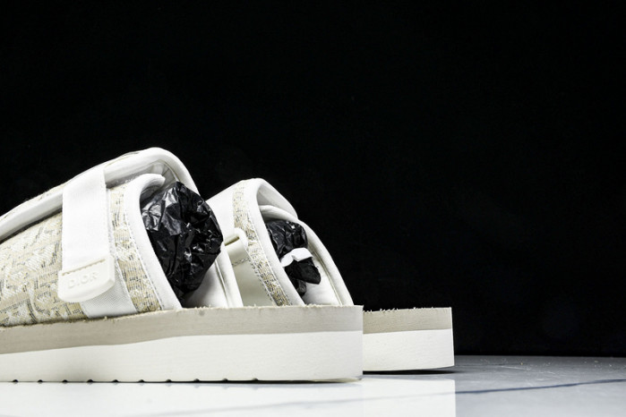 D1R* SLIDE copshoe  DR-SLIDE 019