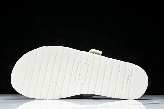 D1R* SLIDE copshoe  DR-SLIDE 019