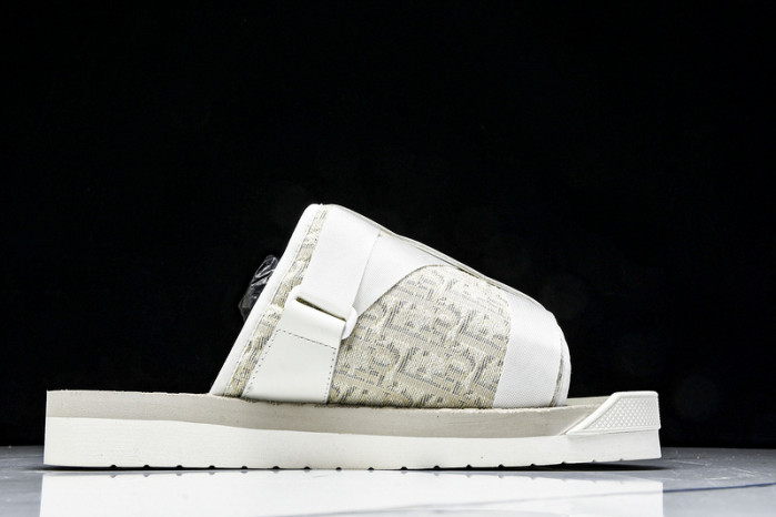D1R* SLIDE copshoe  DR-SLIDE 019