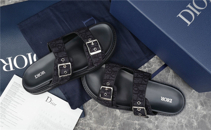 D1R* SLIDE copshoe  DR-220