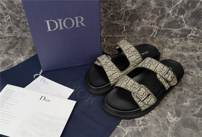 D1R* SLIDE copshoe  DR-241