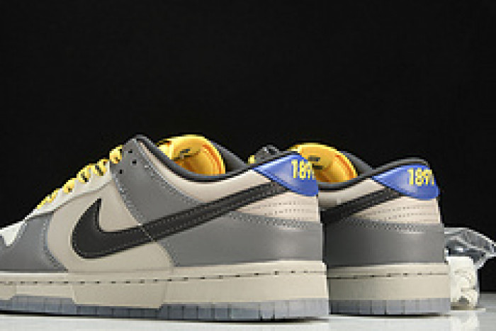 Nike Dunk Low North Carolina A&T - DR6187-001