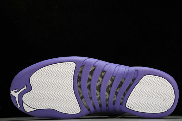 Air Jordan 12   CT8013-150