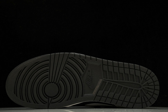 Air Jordan 1 Black White DZ5485-010