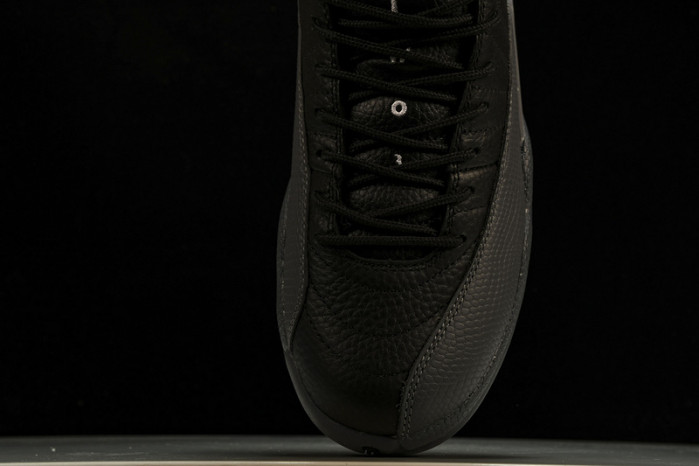 Air Jordan 12 Black Wolf Grey CT8013-019