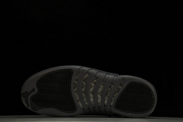 Air Jordan 12 Black Wolf Grey CT8013-019