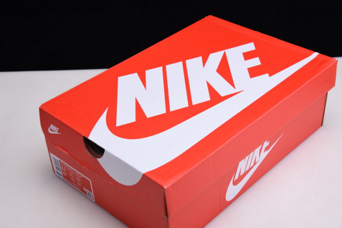 Dunk Low SE 