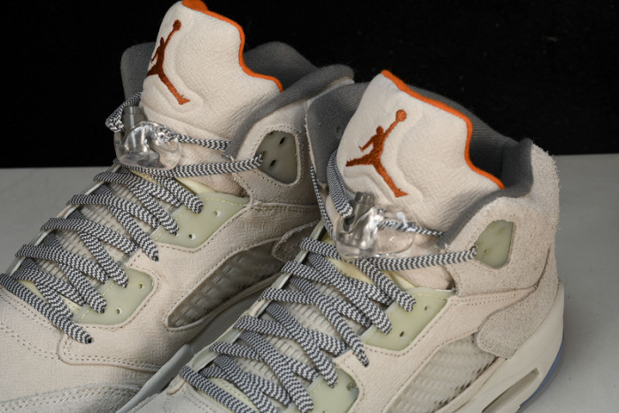 Air Jordan 5 Retro SE 