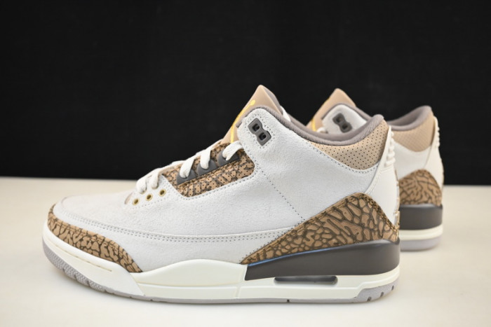 Air Jordan 3 Palomino CT8532-102