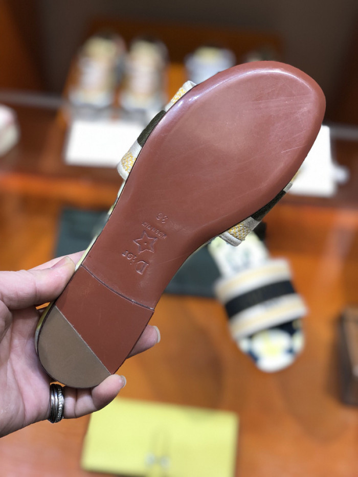 D1R* SLIDE copshoe  DR-91