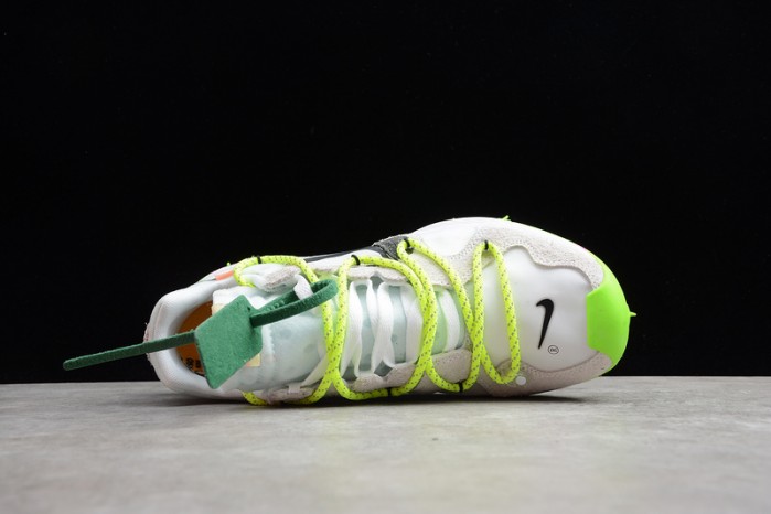 Nike Zoom Terra Kiger 5 OF White (W) - CD8179-100
