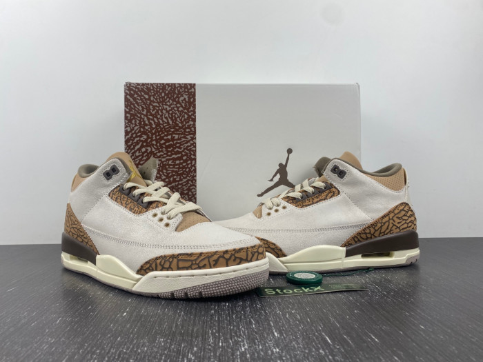 Air Jordan 3 “Palomino” CT8532-102