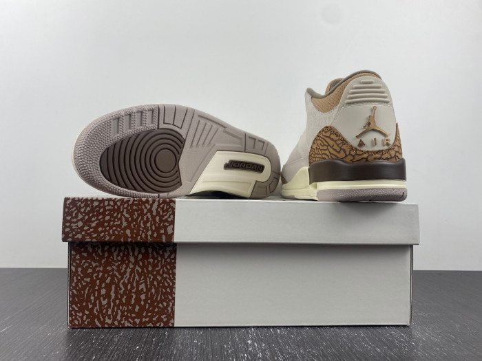 Air Jordan 3 “Palomino” CT8532-102