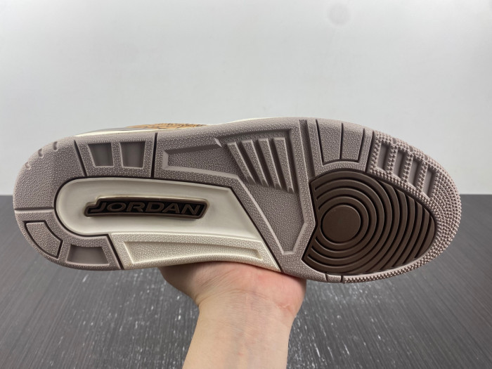 Air Jordan 3 “Palomino” CT8532-102