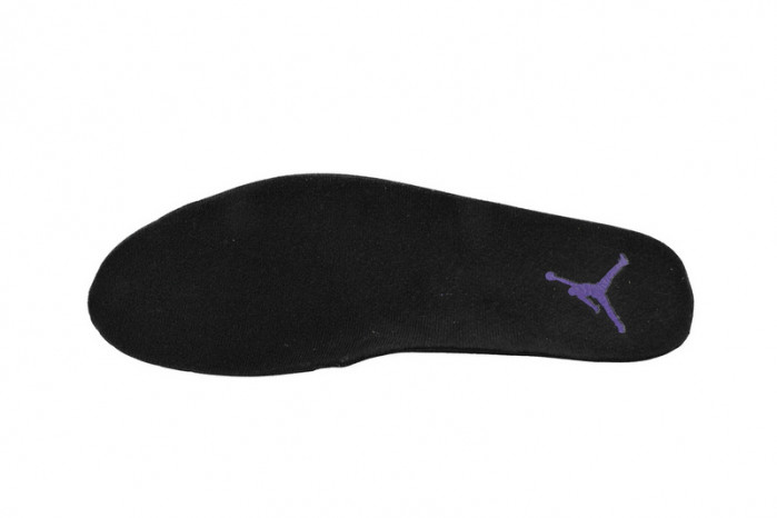 Air Jordan 12 Retro Field Purple CT8013-057