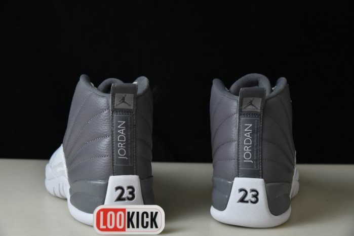 AIR JORDAN 12 “STEALTH” CT8025-610