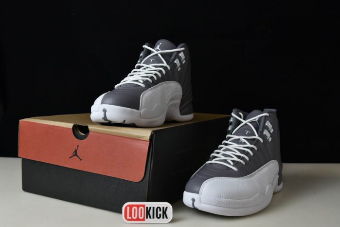 AIR JORDAN 12 “STEALTH” CT8025-610